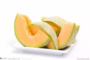 冬菇吃哈密瓜,营养美味的新奇搭配