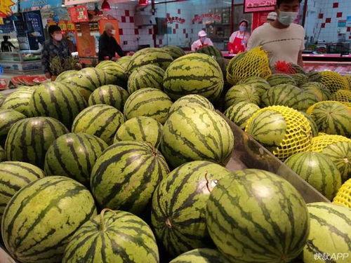 福临城吃瓜事件,一场网络热议背后的真相揭秘