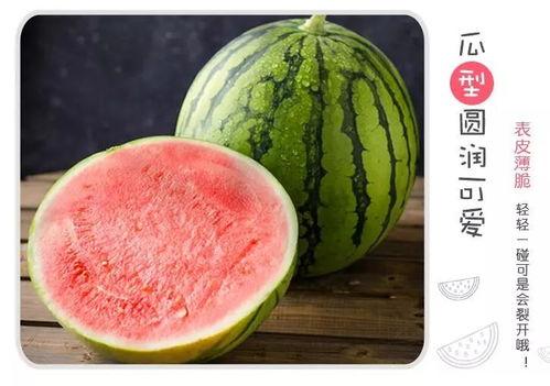 彩虹糖甜蜜吃瓜